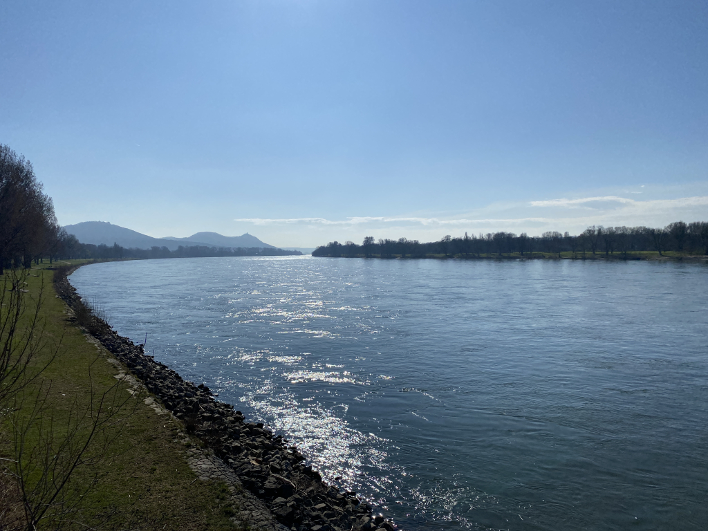 2024-03-09 Rhein 0061 k.JPG